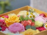 合肥恢复清明现场祭扫 