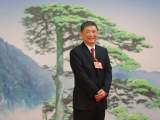 全国人大代表赵皖平：建议推动个人大病求助互联网服务平台健康发展