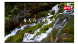 短視頻 | 春天的約定