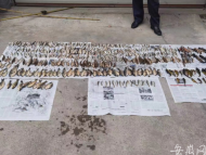 多次捕捞河虾，被判拘役并赔偿资源修复费近5000元