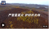 进入防火期，森林火灾如何防患？