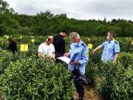 祁門縣查處一起違規使用農藥案