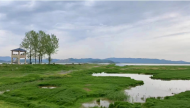 潘琍：在流年里等待花開