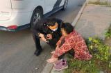 七旬老人躺公路邊  蚌埠民警找到家人獲錦旗  