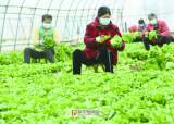 阜陽經濟增長重返全省第一方陣