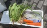 淮南孔店鄉(xiāng)“臨時蔬菜供應站”解決群眾買菜難