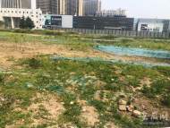 合肥鬧市百畝地多年未開發 何時實質動工仍是未知數