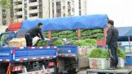 疫情防控下合肥蔬菜糧油供應情況如何？記者探訪該市最大“菜籃子”