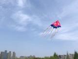 合肥主城區(qū)飛絮問題為何“今年好多了” ？聽相關(guān)部門怎么說