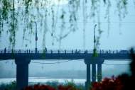 胡竹峰：張恨水：水流吉年