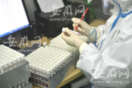砀山县通报1例阳性 轨迹公布
