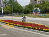 蚌埠：五一“鲜花上路”圆满完成