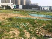 熊仕喜：莫让心长草
