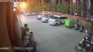 合肥一居民喜好養花草  竟深夜盜走派出所門口兩個大花盆
