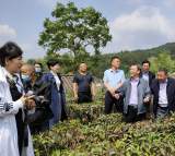 安庆：“田间课堂”传授致富经助推乡村振兴