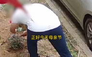 銅陵一男子偷剪鄰居月季花  送給丈母娘過母親節 