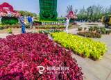 铜陵市提升公园品质 擦亮城市名片