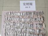 缴获宽鳍鱲、光唇鱼等250条 歙县警方侦破一起非法捕捞水产品案