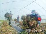 淮南民兵解难帮困助农生产