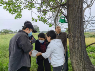 安徽多地被列入“2022年美國白蛾疫區(qū)” 林業(yè)部門：控制情況不錯