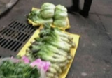 淮南田家庵通告：取缔朝阳骑路菜市场
