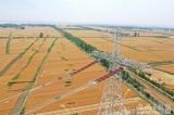 蚌埠：特高压直流线路迁改助力合新高铁建设