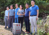 合肥淮南线界线联检工作正式启动