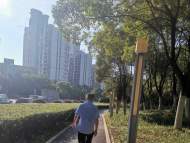 最高氣溫37～39℃ 高溫天繼續在安徽北部“安營扎寨”
