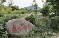 暖民心 見行動｜淮南將濕地建成體育公園 市民在“畫”中鍛煉和休閑