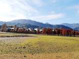 7月底前，游黟县12家景区享门票半价优惠
