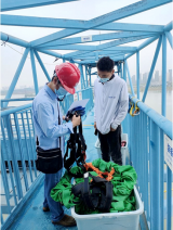 肥西邀请专家检查大型游乐设施