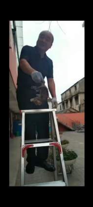 三只小貓被困下水管道 蒙城一學校工作人員爬梯救下