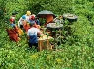 駕駛員操作不當   舒城一鏟車連車帶人翻下山坳