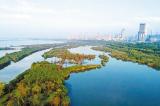 凤台县扎实推进凤凰湖省级湿地公园建设
