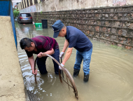 大雨致蕪湖一小區積水 最深處達30厘米左右