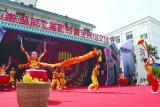 巢北夏至節(jié)，農(nóng)耕文化的縮影