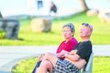 安徽巢湖：濕地夏之歌