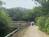 宜秀區(qū)楊橋鎮(zhèn)余灣村：防“溺”于未然，筑起“防溺水安全護欄”