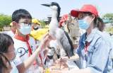 阜阳颍州西湖景区：守护湿地之美