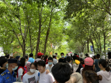 2022中考｜首场语文结束  合肥多名考生反映不难