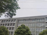 安巢城管：拆除楼顶字 亮出美丽“天际线”
