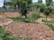 六安市區一土坡被改造成菜地 有人用糞水澆菜臭氣熏天被投訴