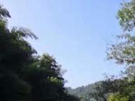 2022年暑期九華山風景區對全國中高考學子免門票