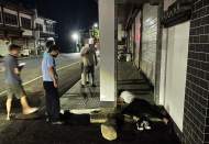 男子深夜酒后失聯 涇縣民警找到時其正當街大睡
