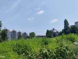 黄山市官方重视原屯溪一中周边地块相关建议，要求综合考虑