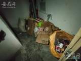 合肥一小区部分电梯停运、垃圾杂物乱推乱放   物业、社区回应