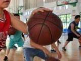 合肥给体育类校外培训上“笼头”