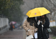 靳雪晴：一場冷雨一把傘
