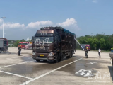 90头“二师兄”高速上集体中暑 芜湖消防员“拔枪”喷水降温