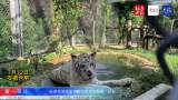 合肥热浪滚滚动物们如何与酷暑“过招”？